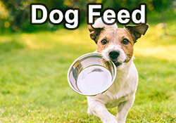 Dog Feed