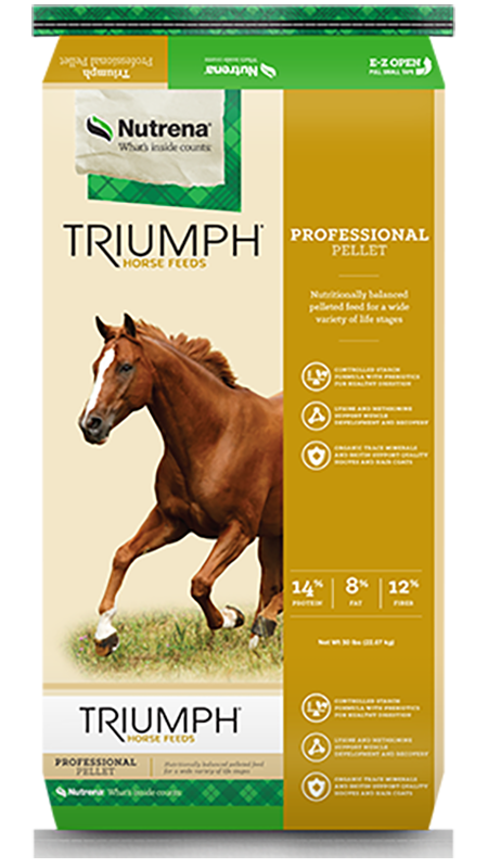Triumph® Professional